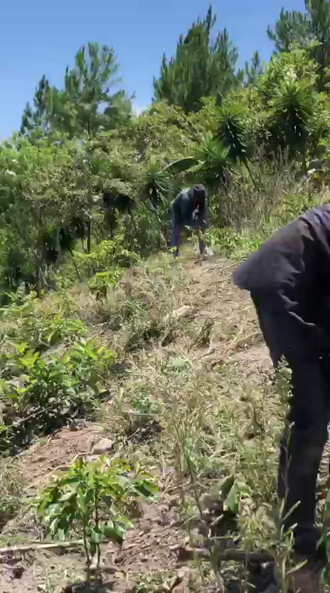 @Marlonsorto