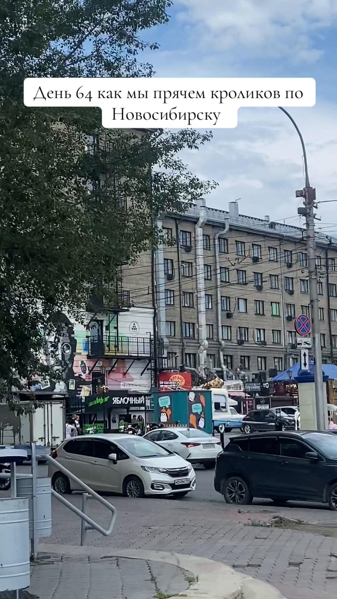 @Кролики