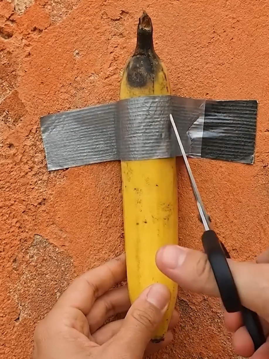 @PlantsLife