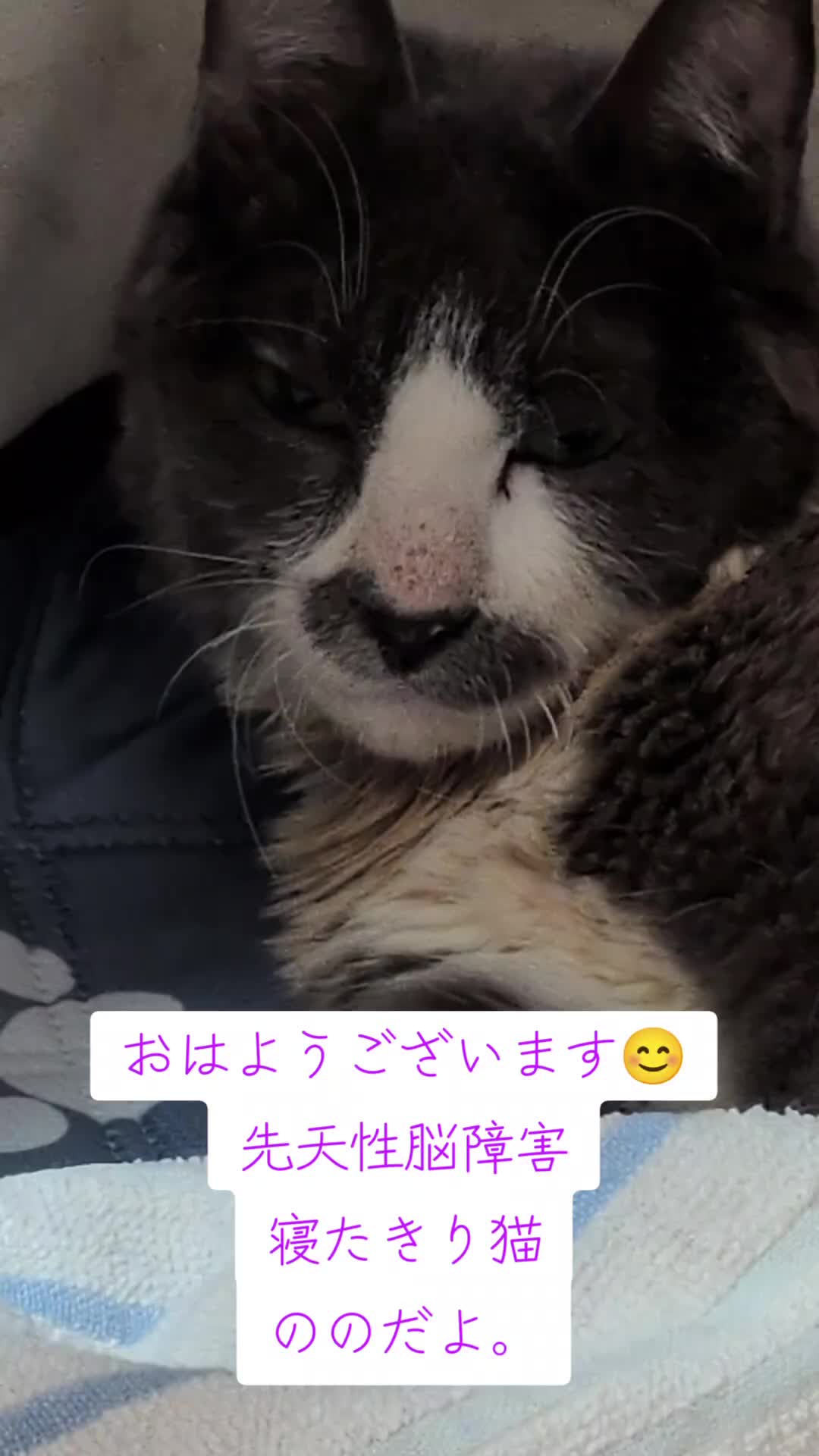 @てんきな