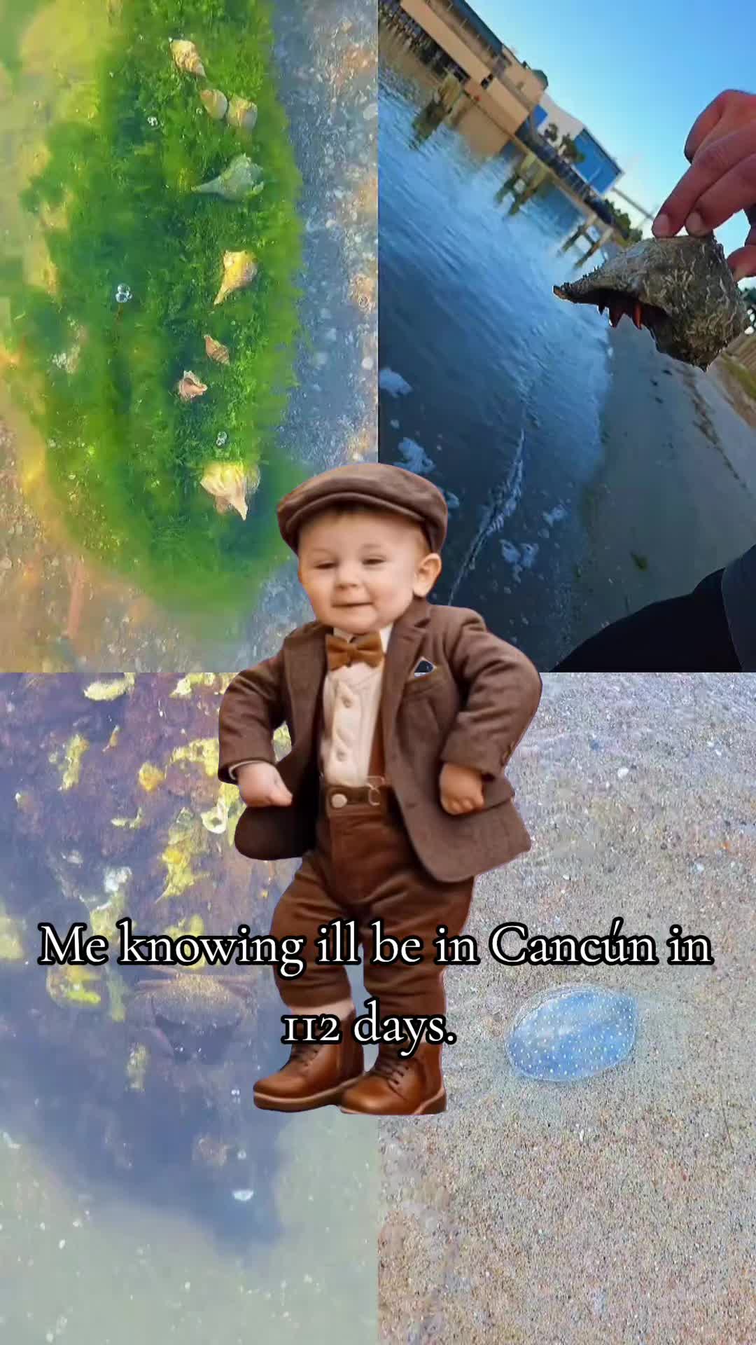 @⛧𝓣𝓱𝓪𝓽 𝓦𝓲𝓽𝓬𝓱 ⛧