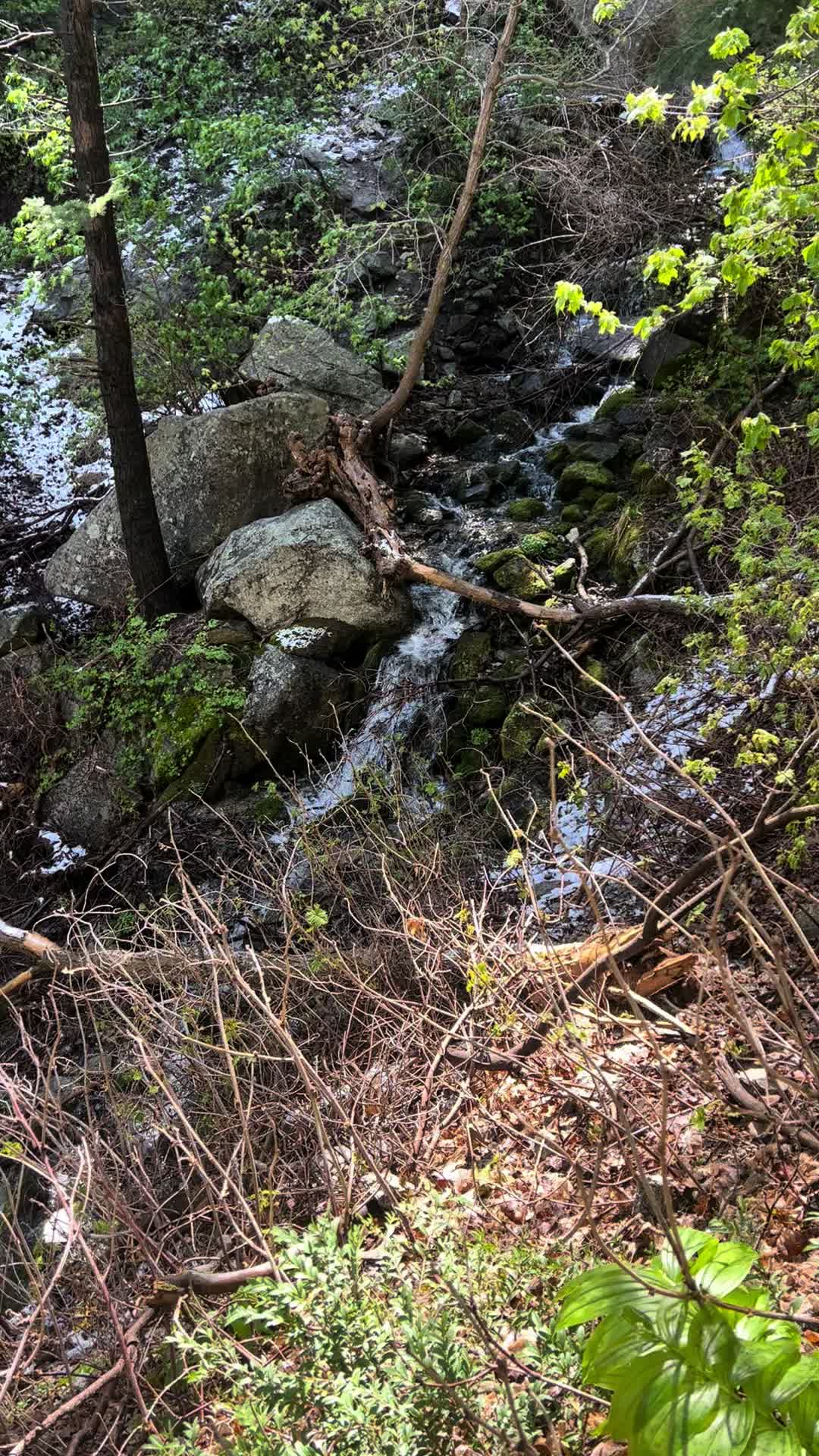 @Wild Fowler 🏔️🥾⛰️
