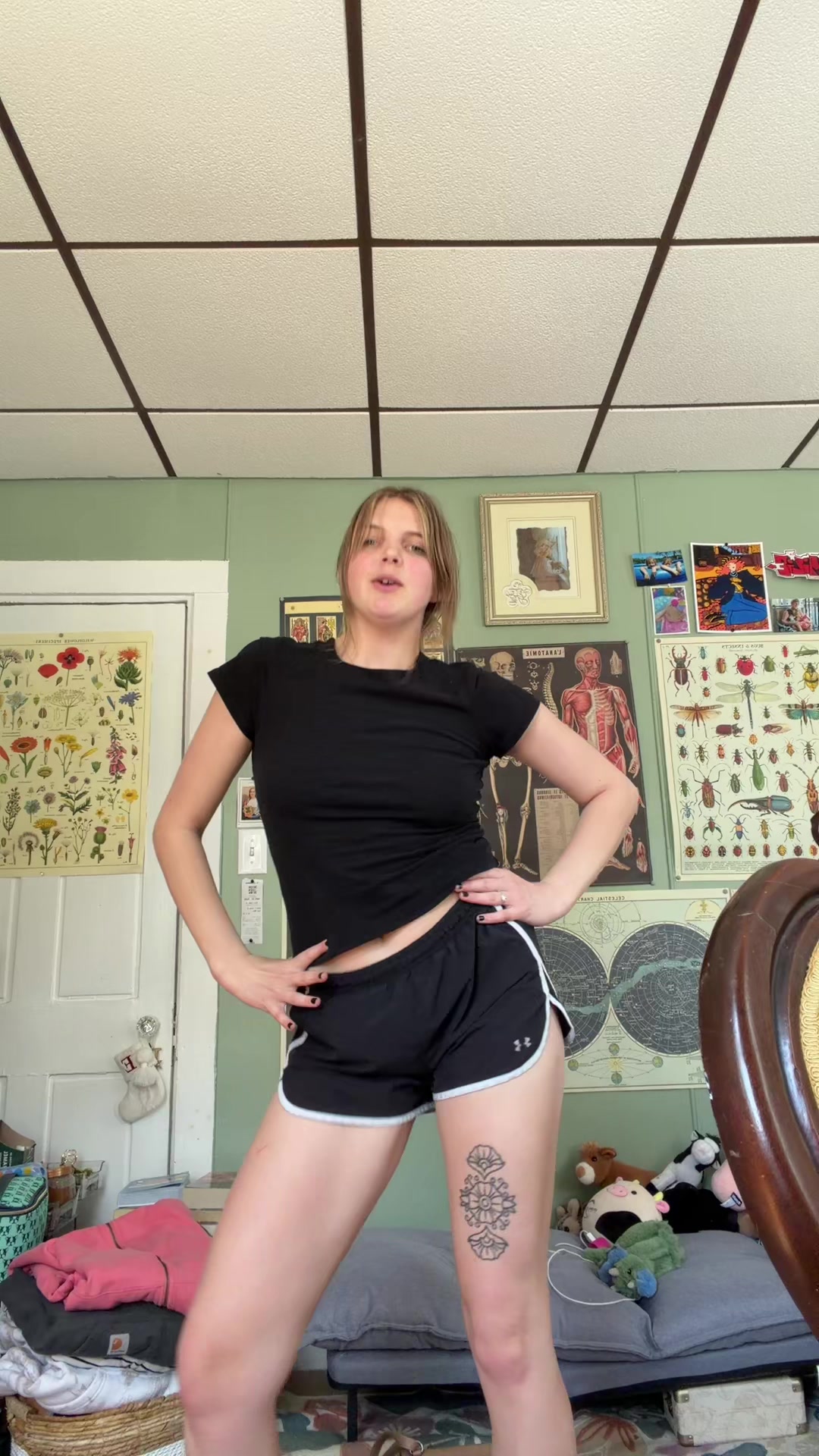 @the.bug.story