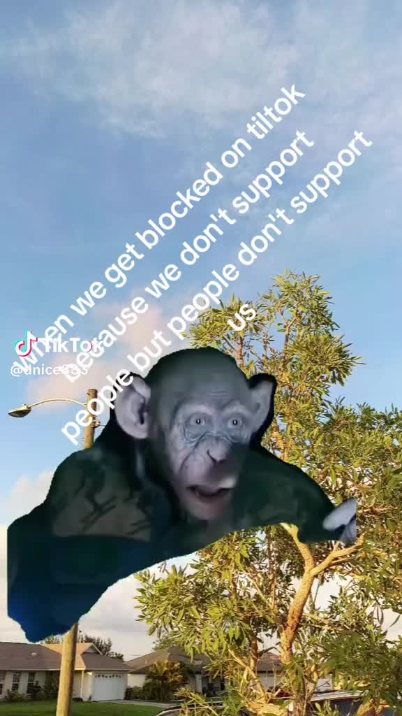 @dawnleannflo620