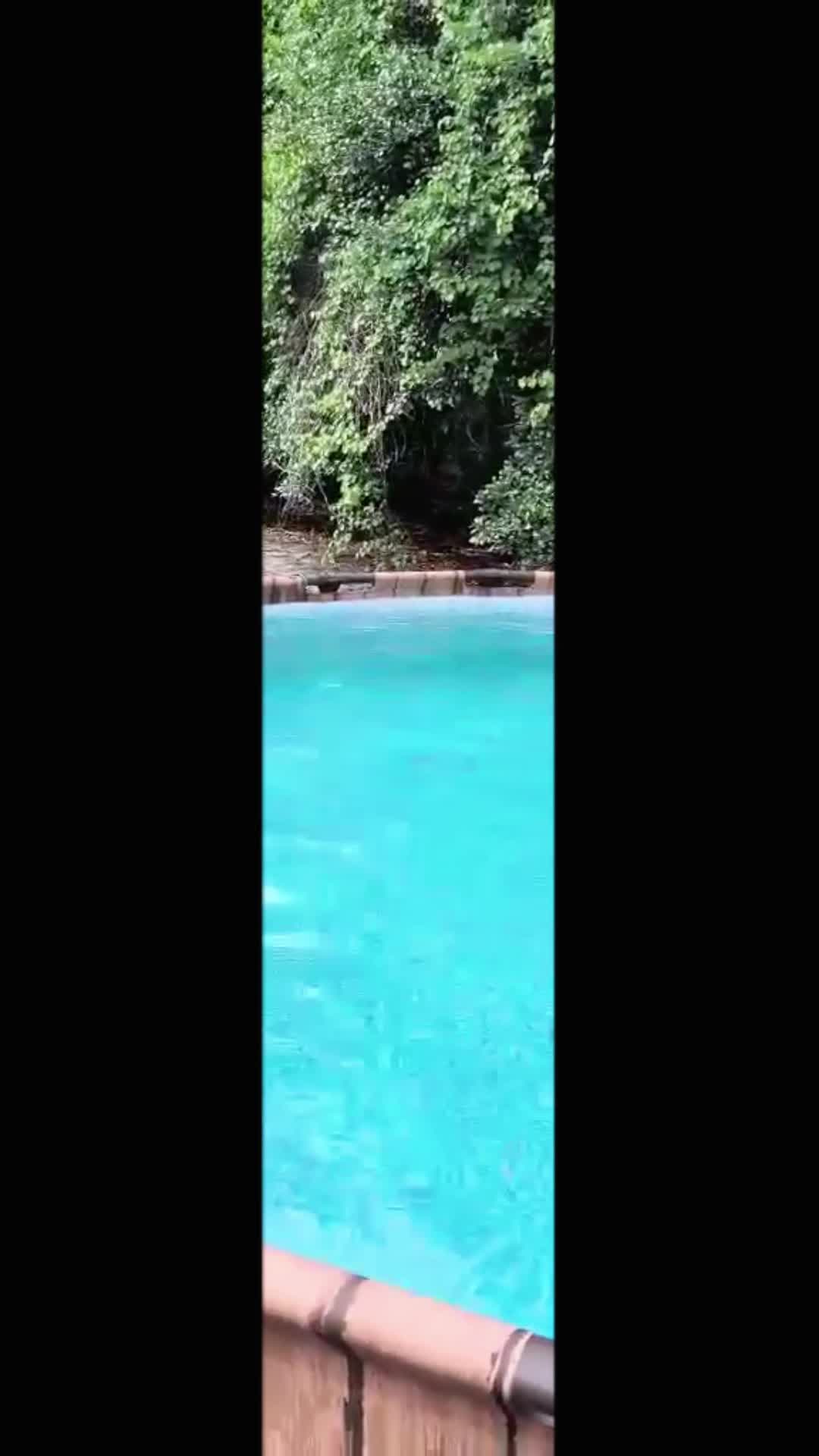 @Yulonda Peques