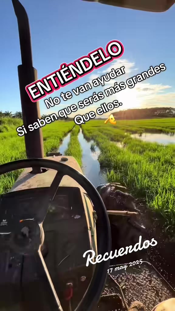 @Jairo Rosales
