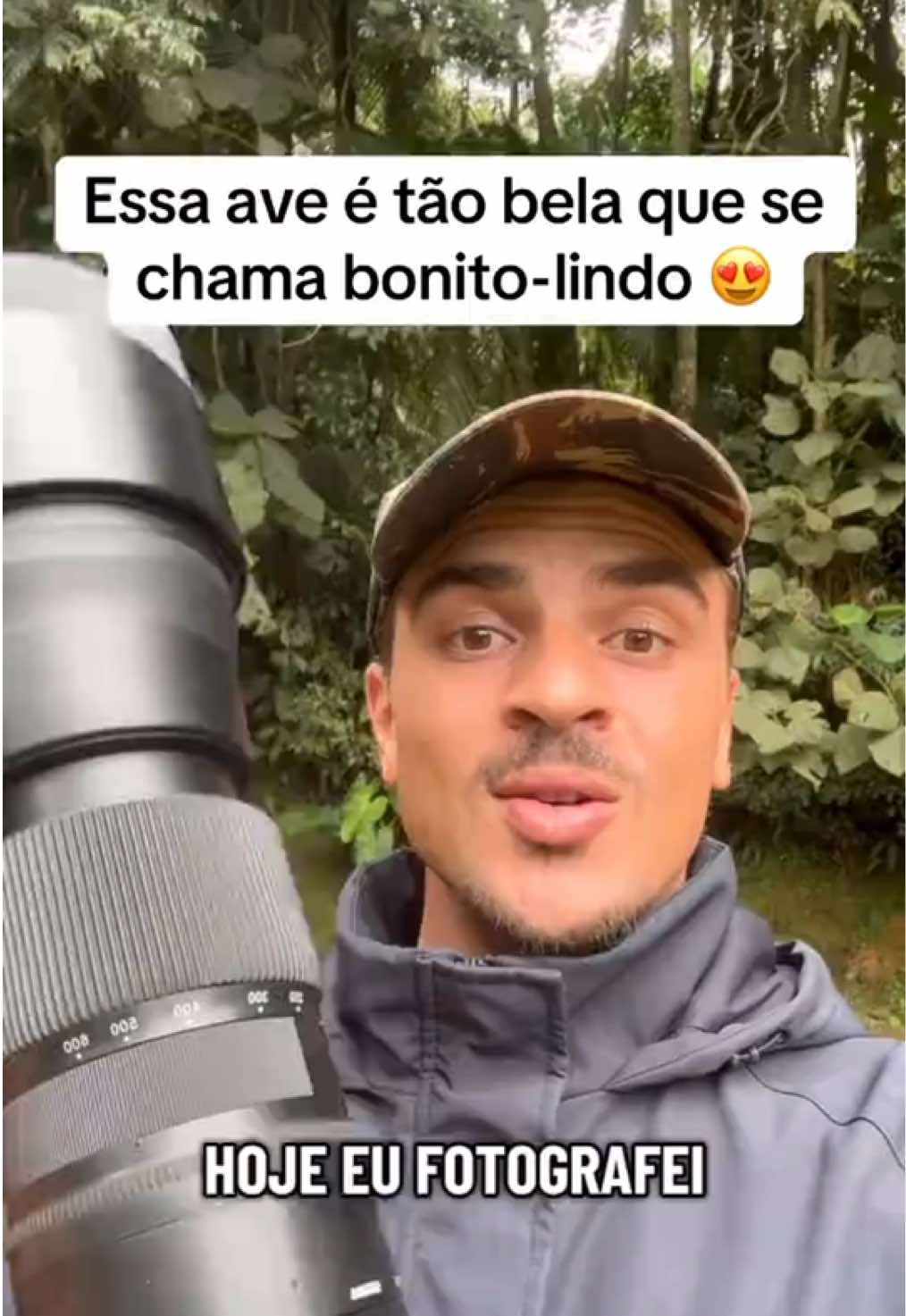 @Vinícius Köhn Pássaros
