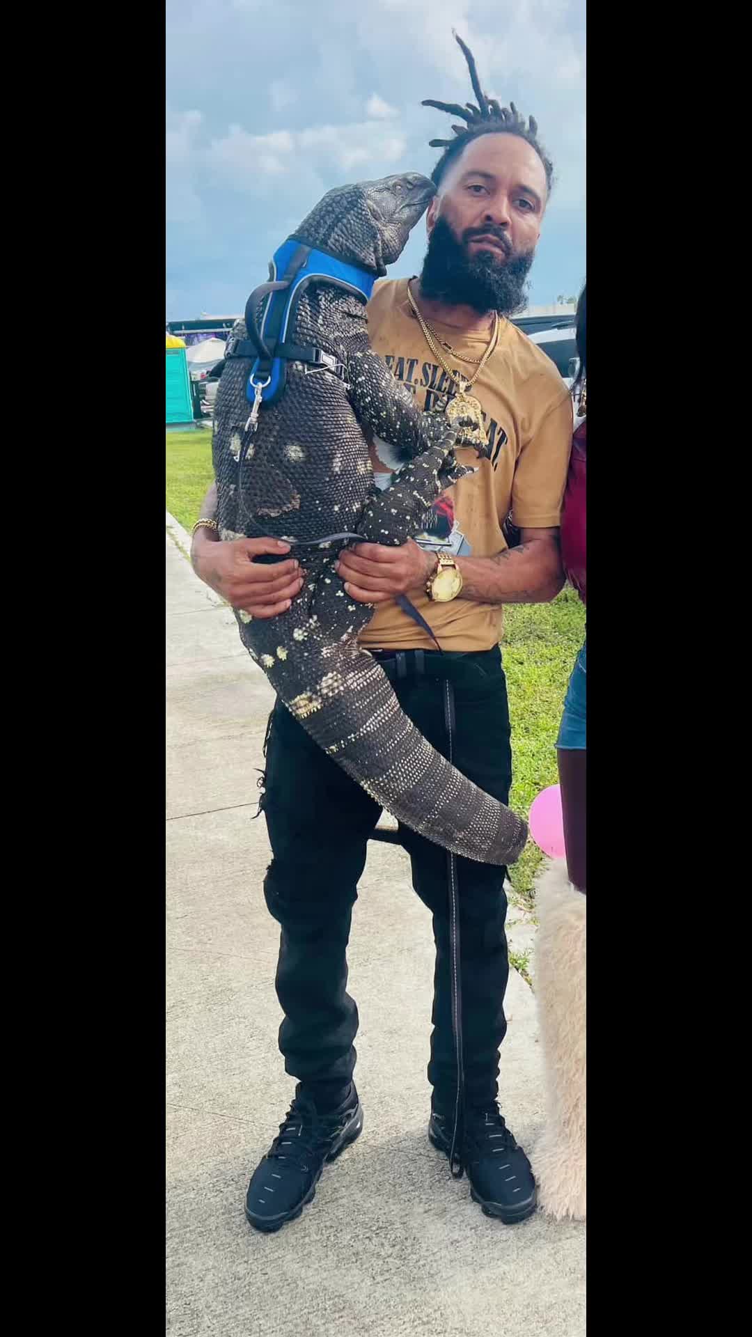 @LizardMan561