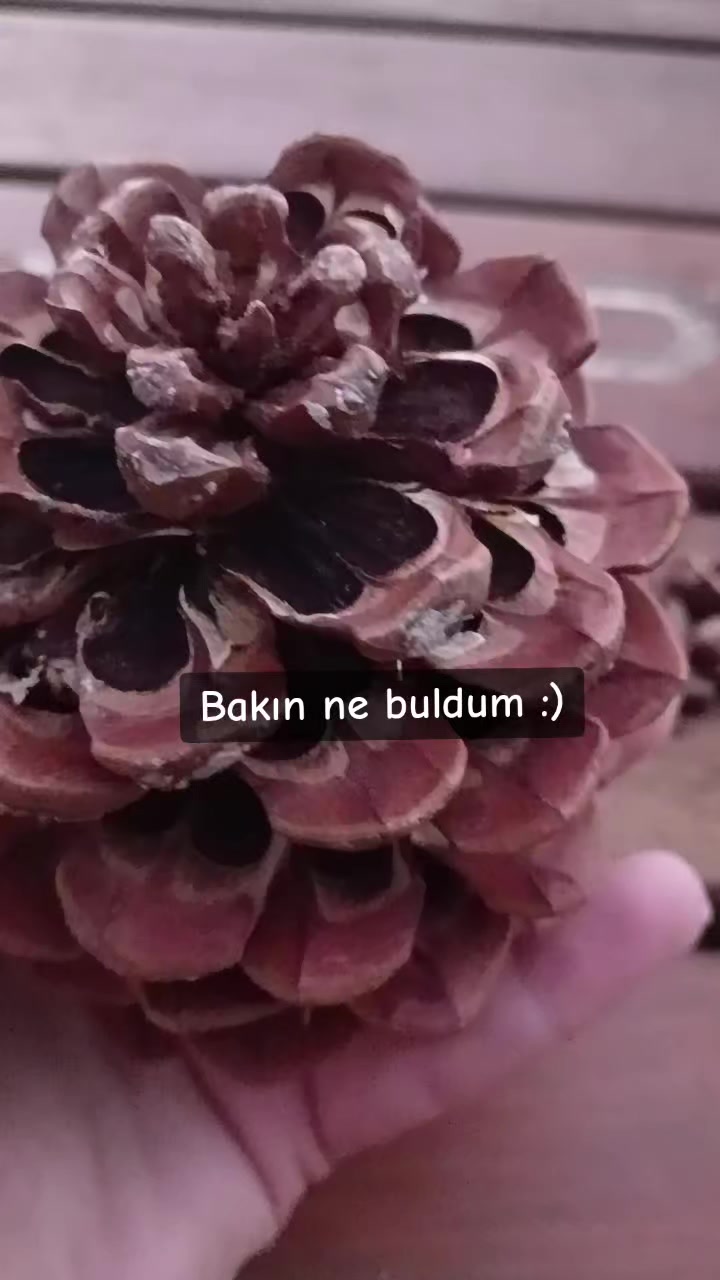 @GEZGİN KADIN 🖤💚🖤