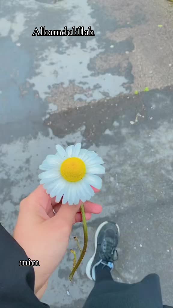 @m.a.m_2428