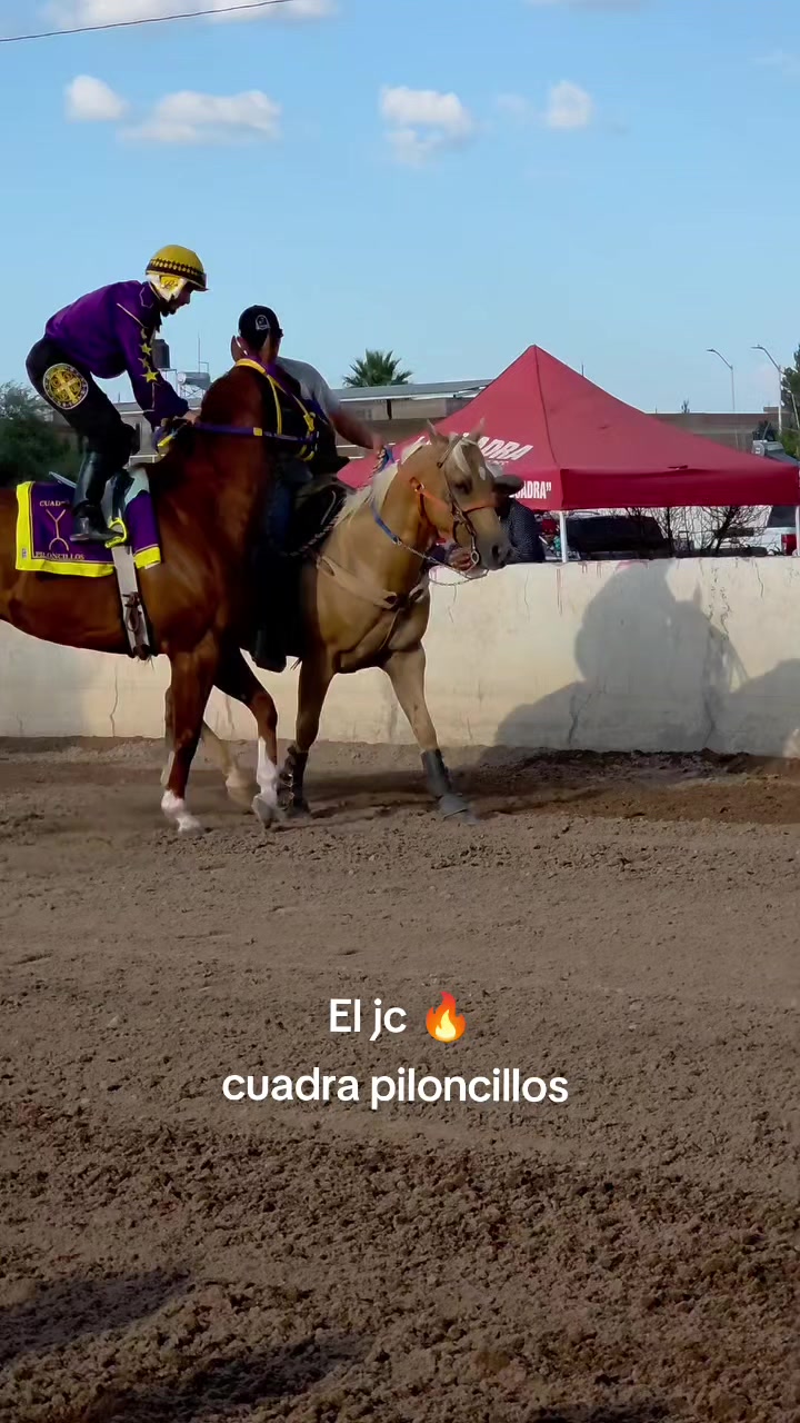 @carriles altos de jalisco🐎