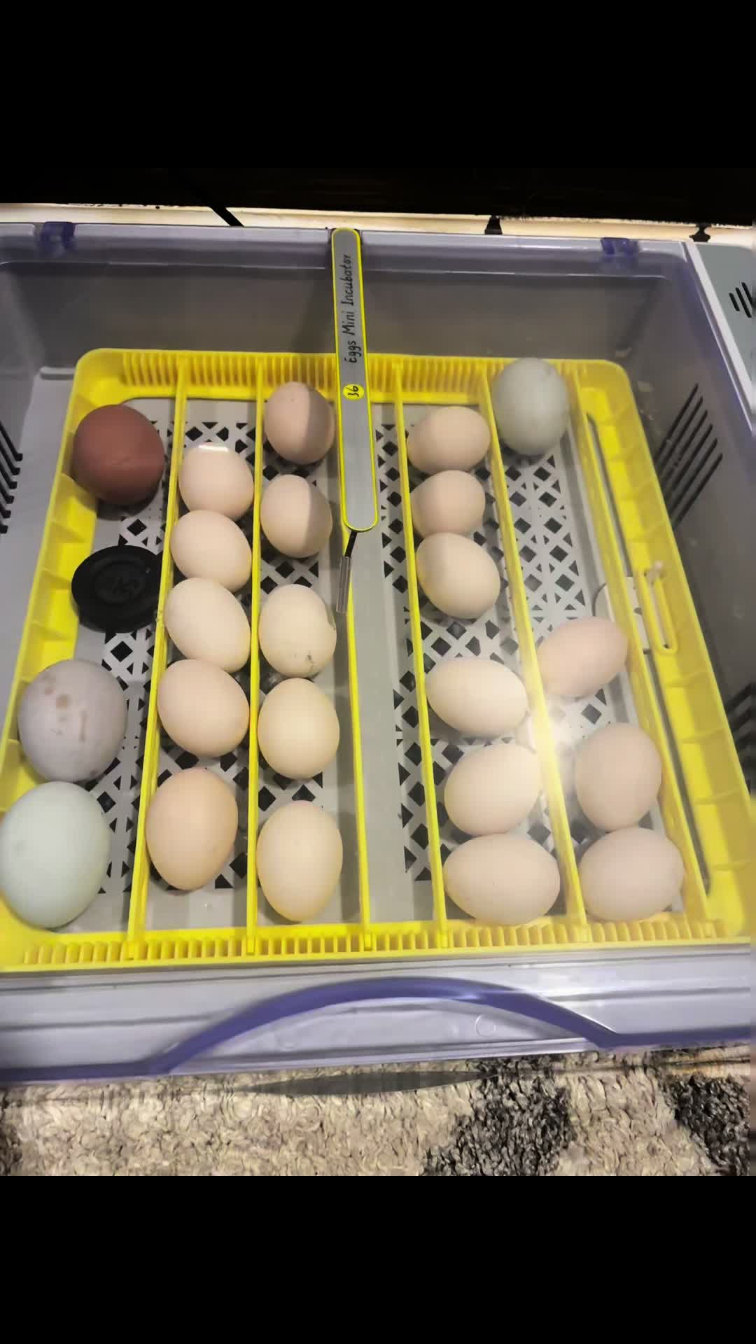 @crochetingchicken