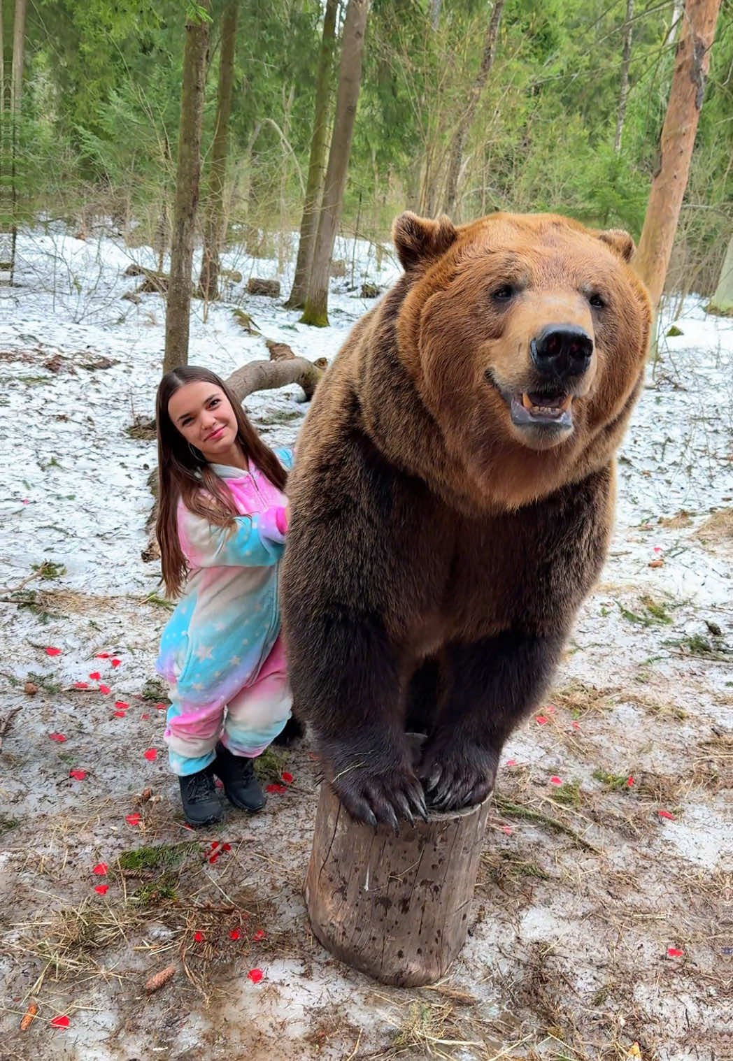 @Anastasia Tarasova