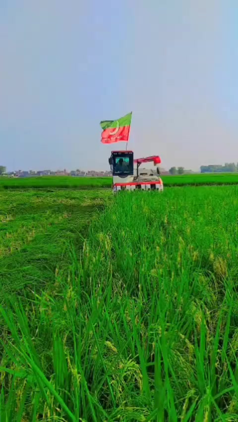 @ANEESMAYOSAB804