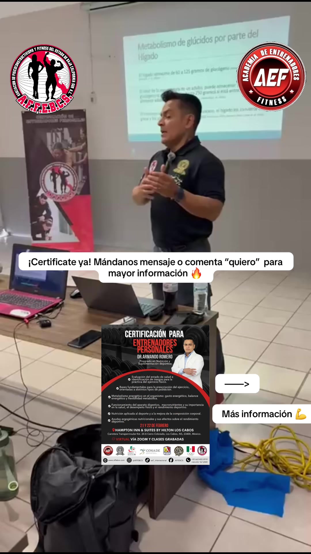 @aef_internacional
