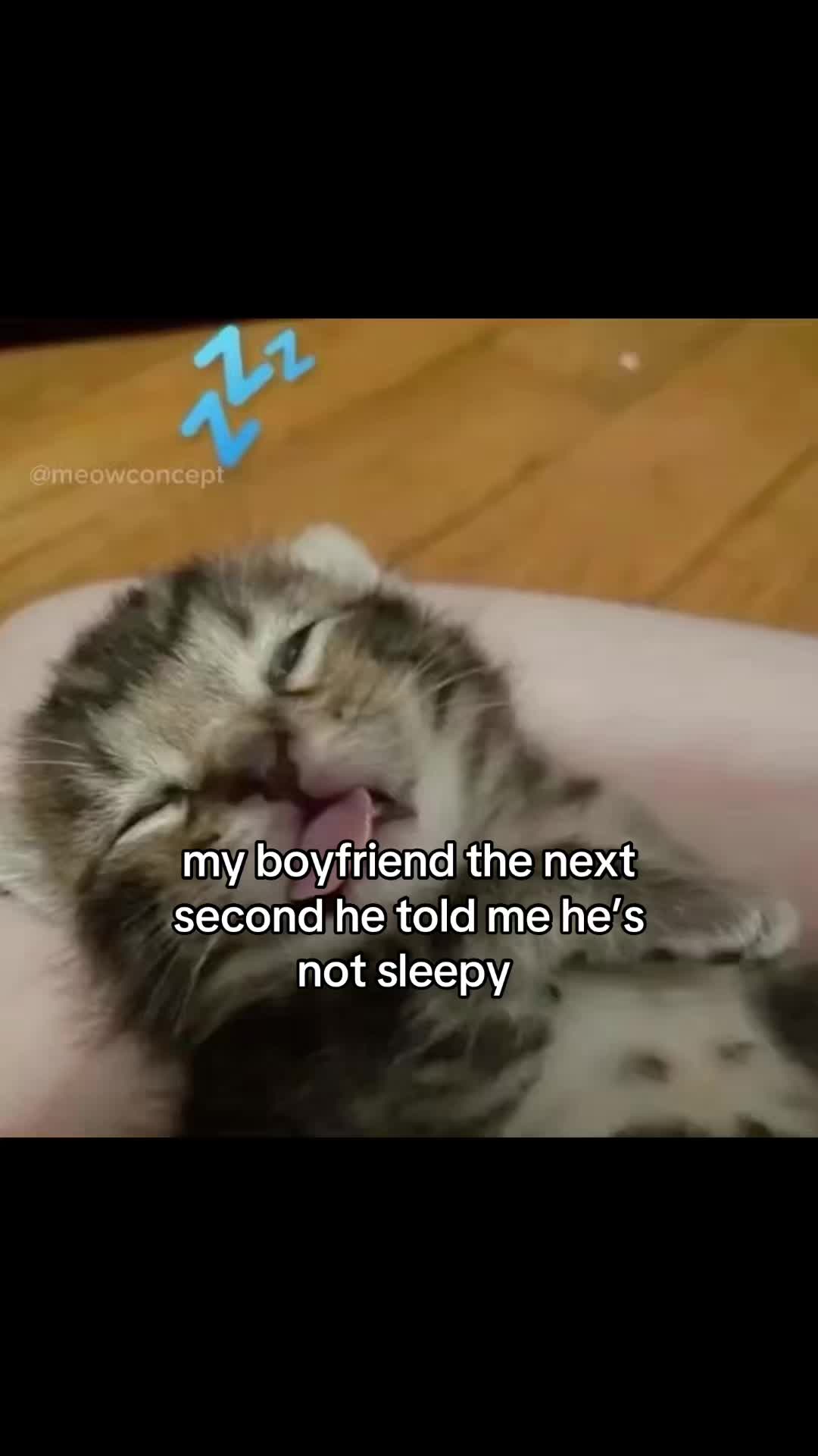 @meowconcept