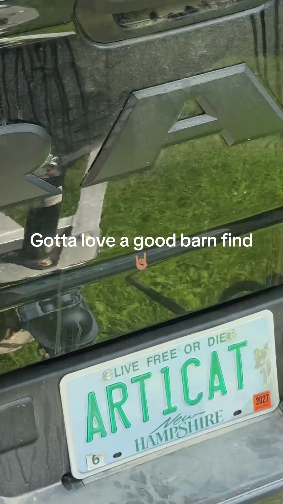@Arcticcatmatt