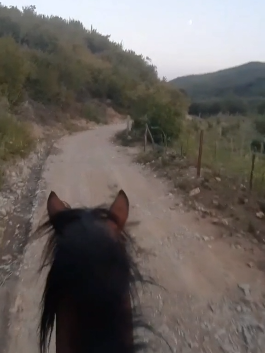 @GurishtaFarm