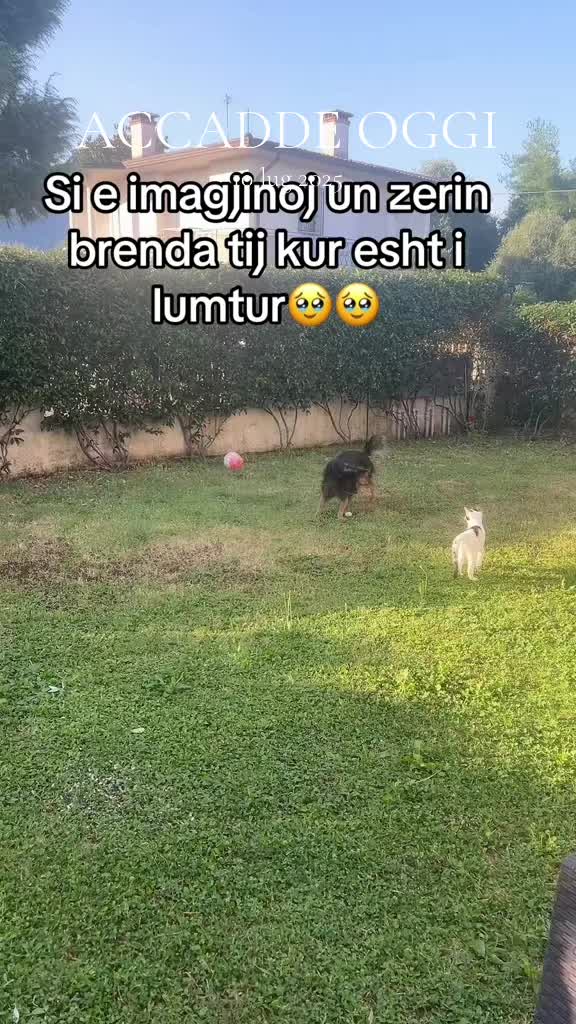 @Rafaela