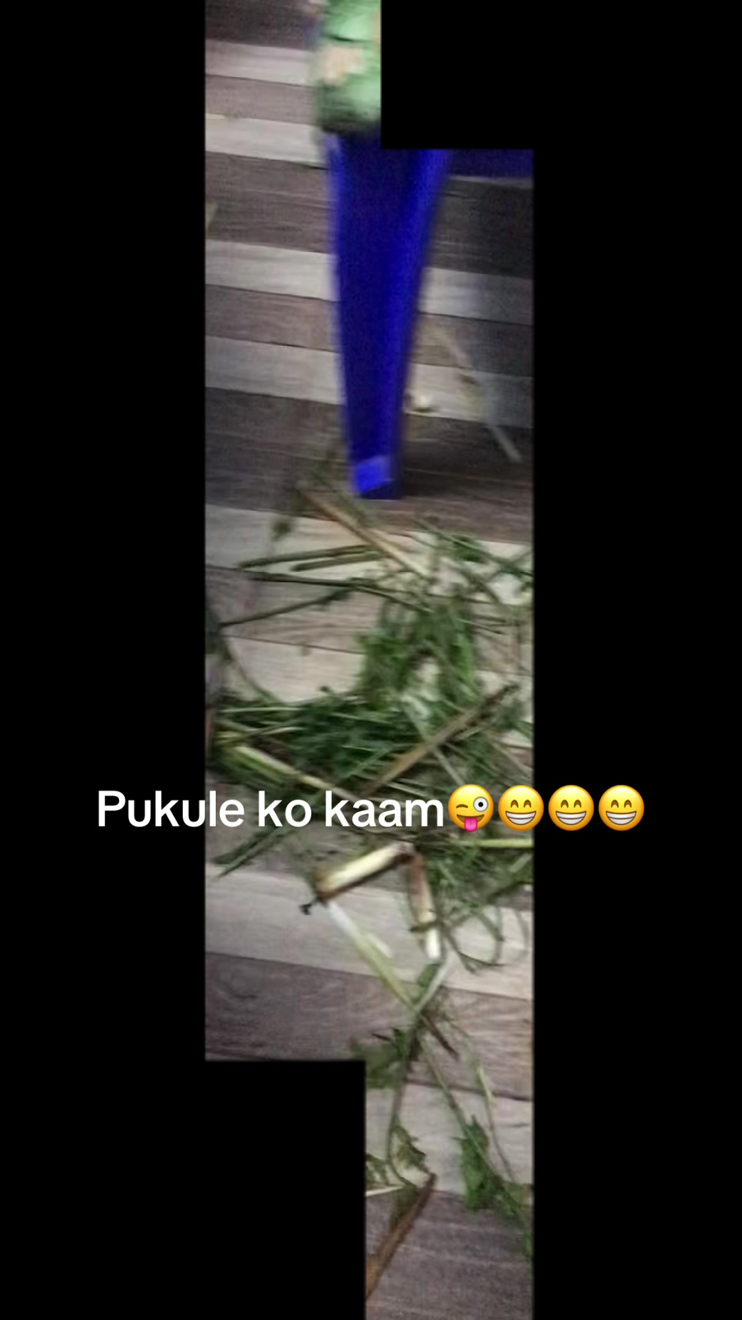 @Anita Neupane🤟
