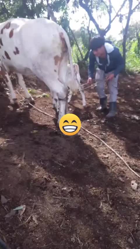 @Rosa Simbaina