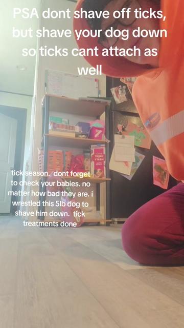 @ShellBee
