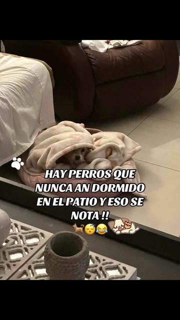 @🙏🏼🧘🏽♀️Potranquita 🐎🪬🧿