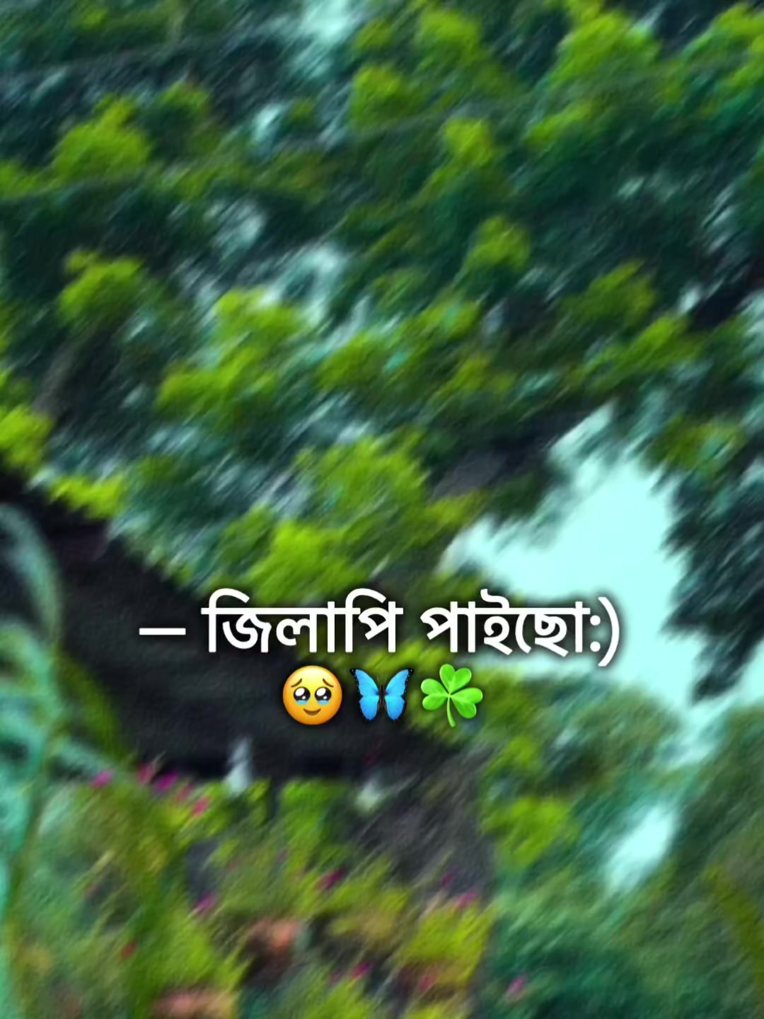 @🌚🐸>জাতির_বউ'মা<🐸🌚