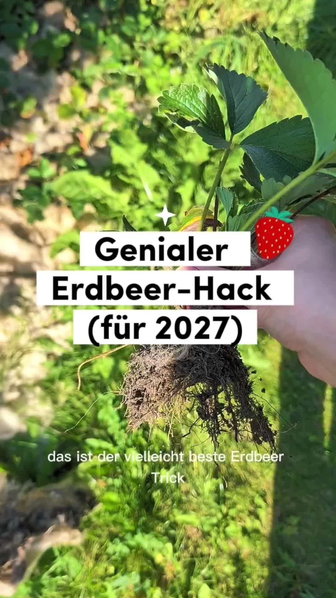 @ErnteExperte