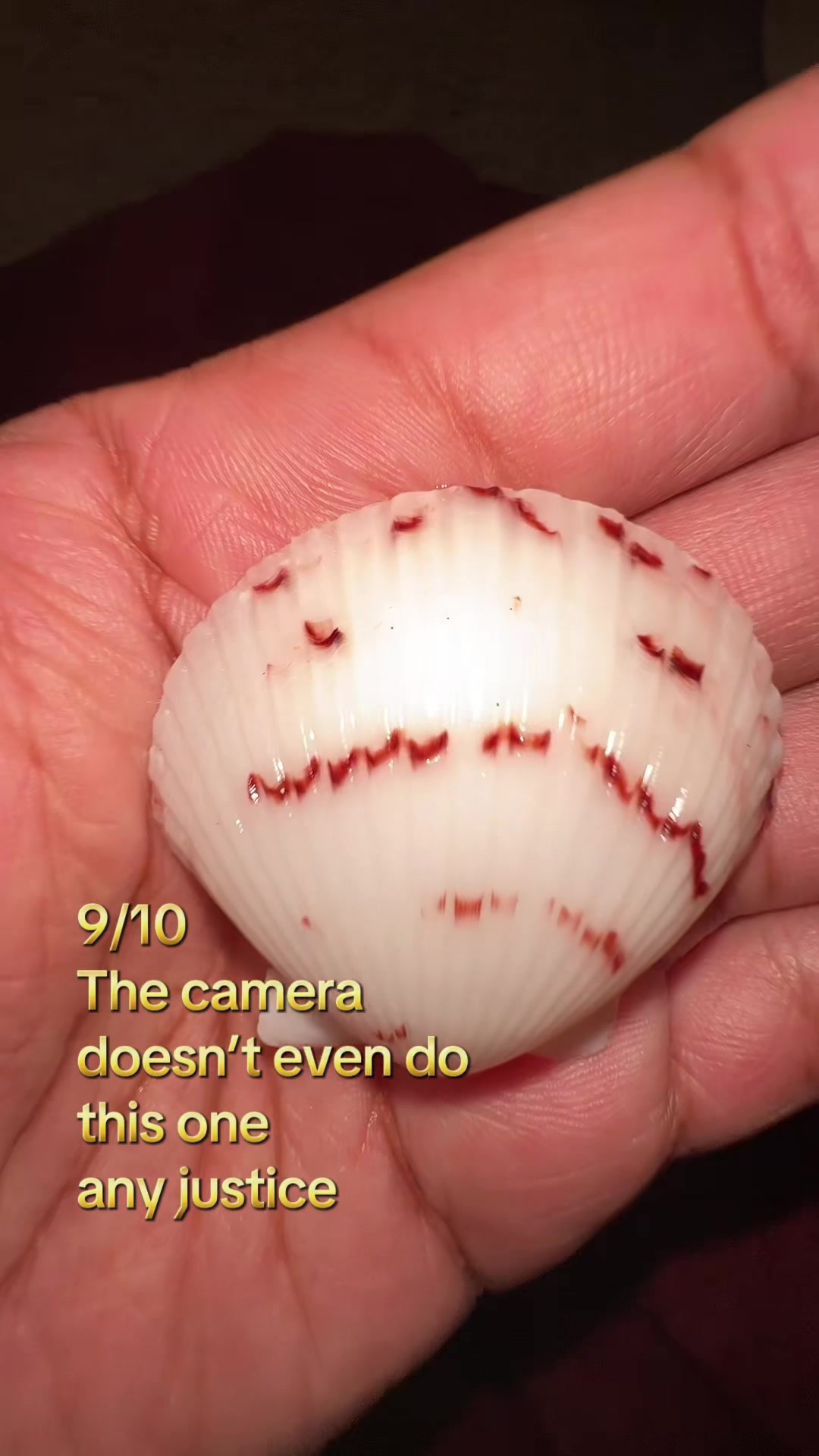 @Zar