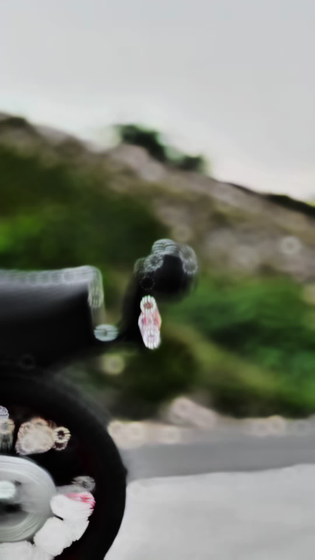 @ŴÄҨÄŚ.___.