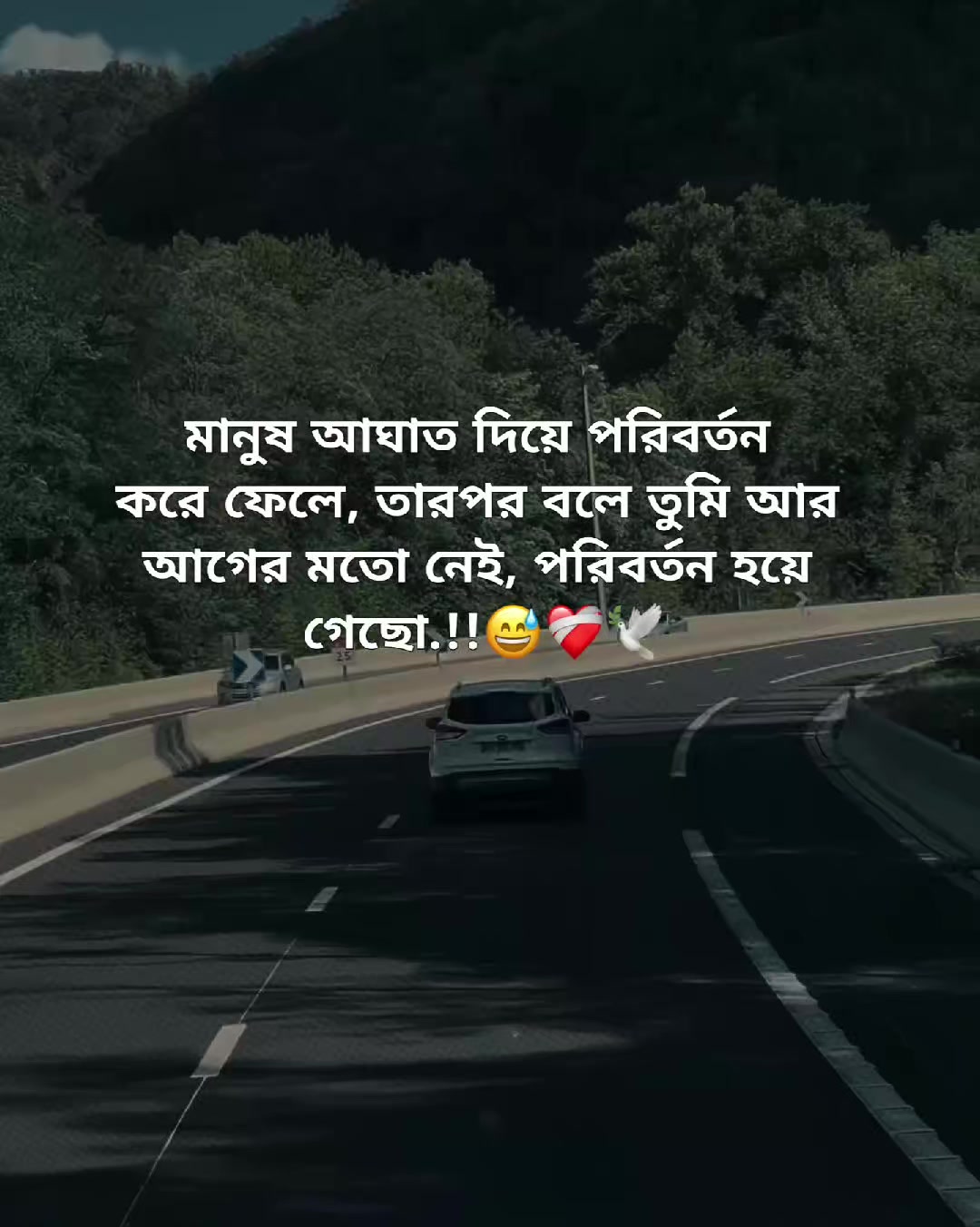 @🌷পিচ্চি–কবি🌷