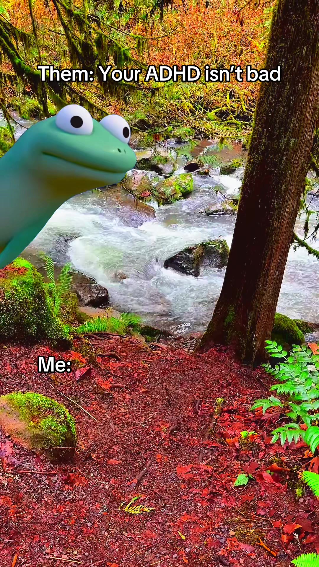 @Cat PNW | 🐈😶&zwj;🌫️🔥☠️🤪