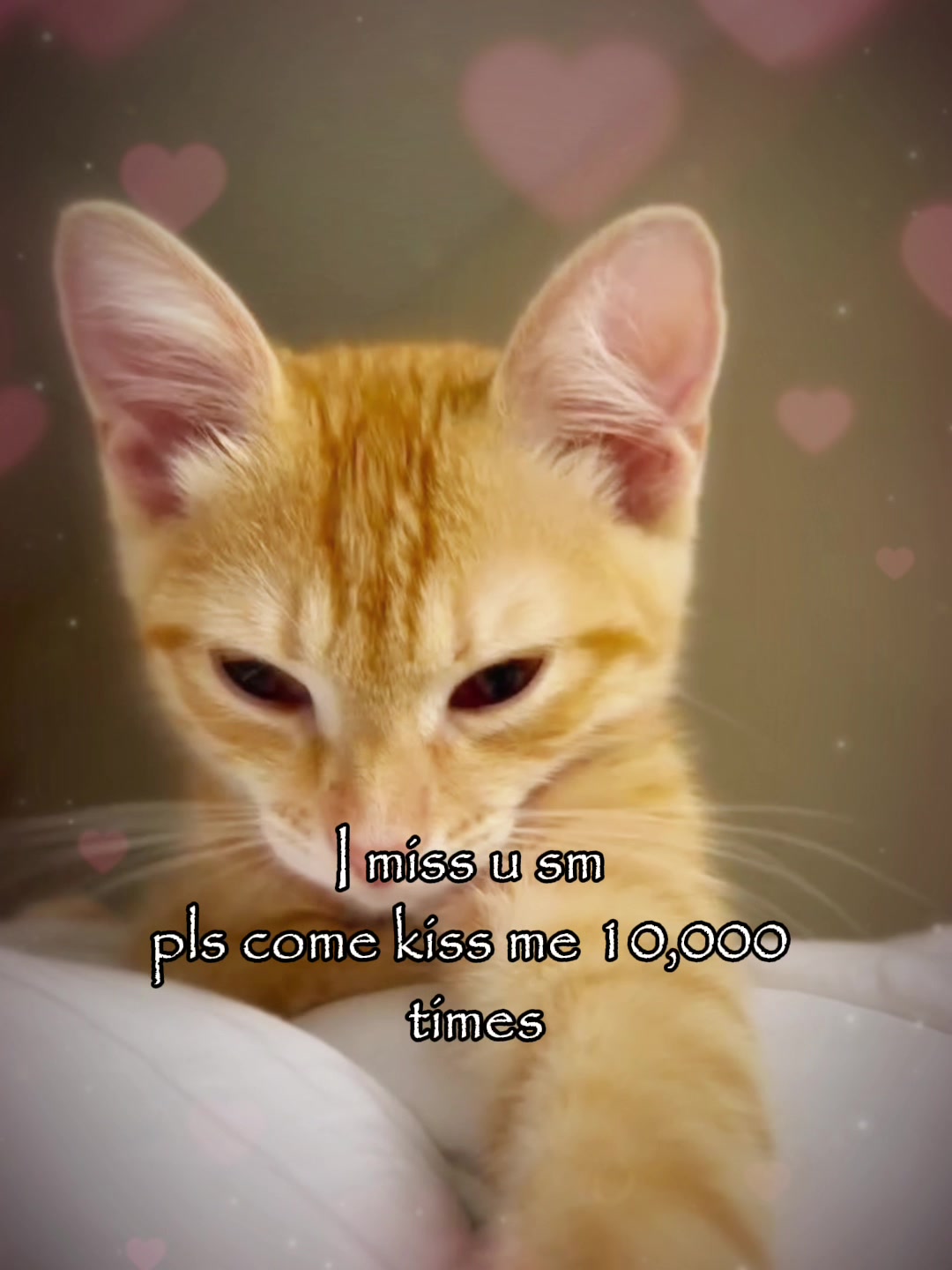 @Mihamii35