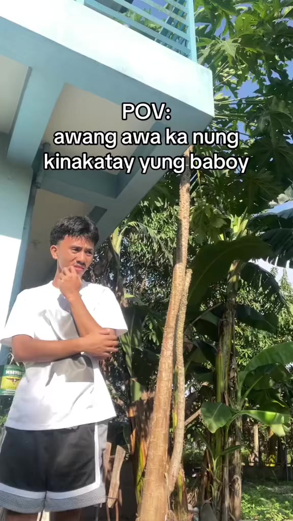 @SEN YOR