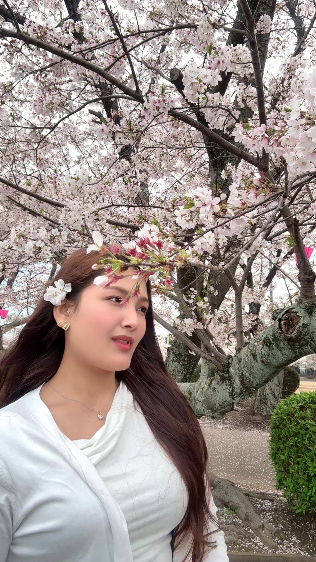@Bipana Adhikari