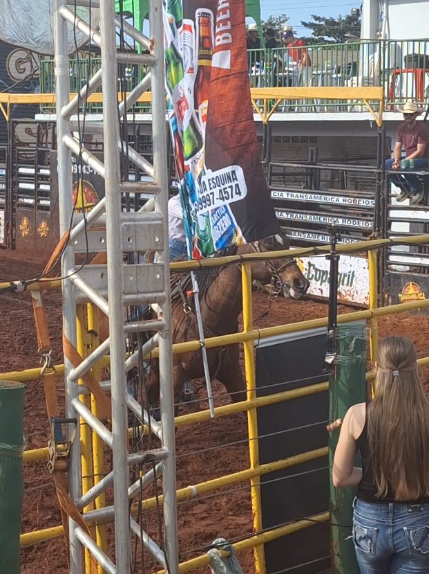 @rodeo
