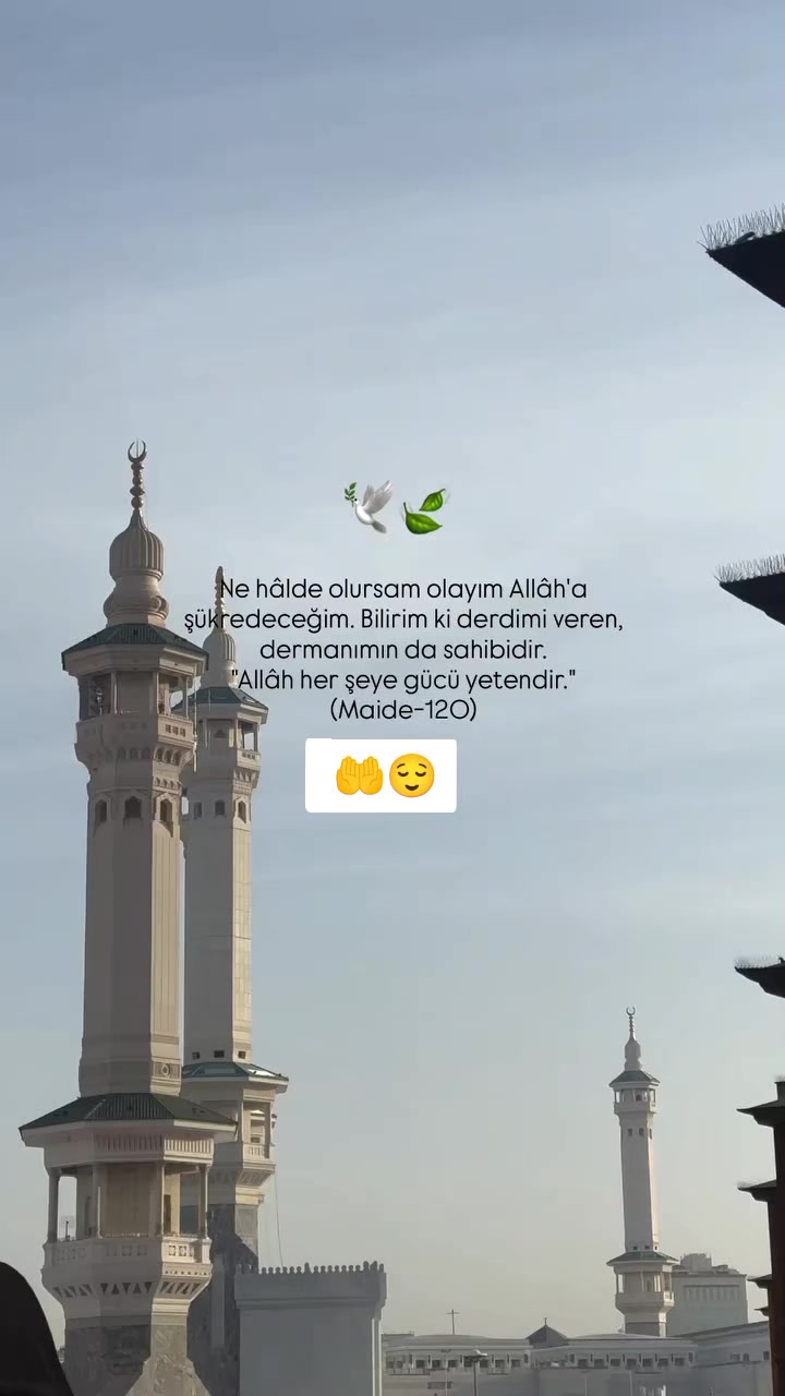 @Seda
