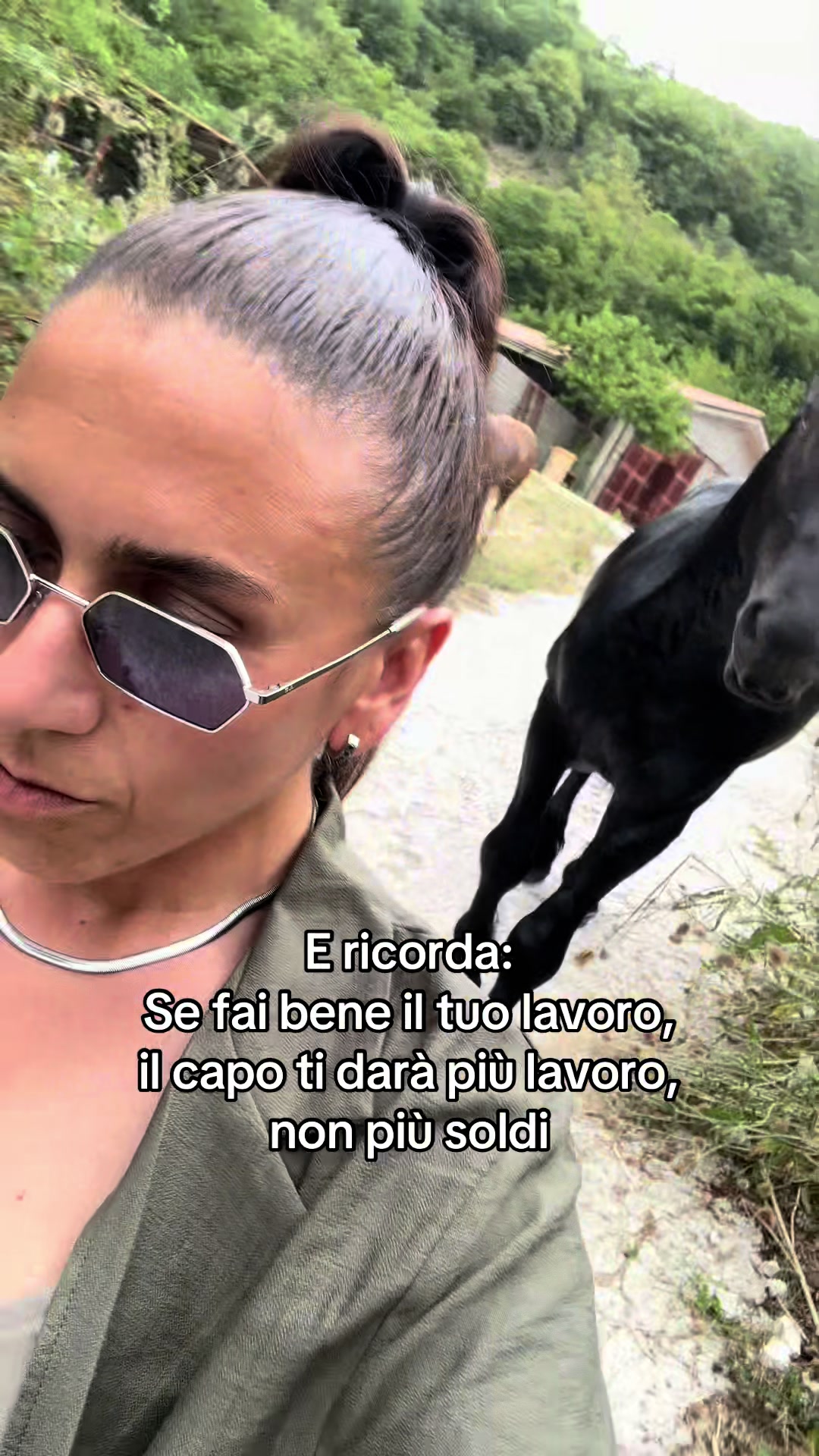 @black_the_friesian