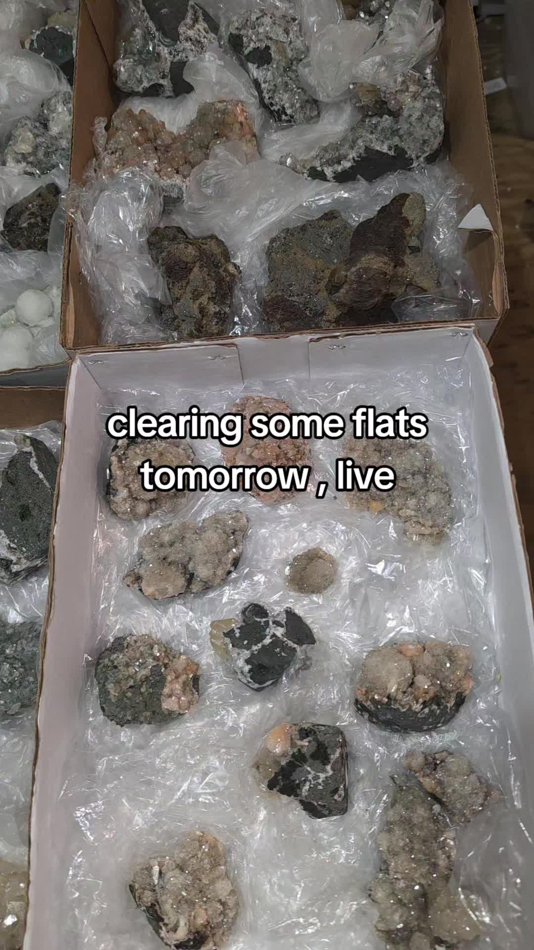 @Peabodys Crystals