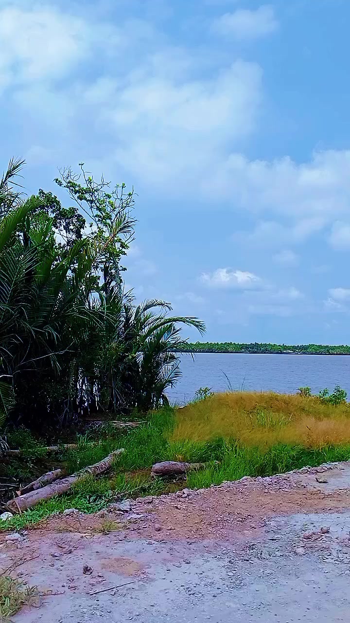 @Tầng