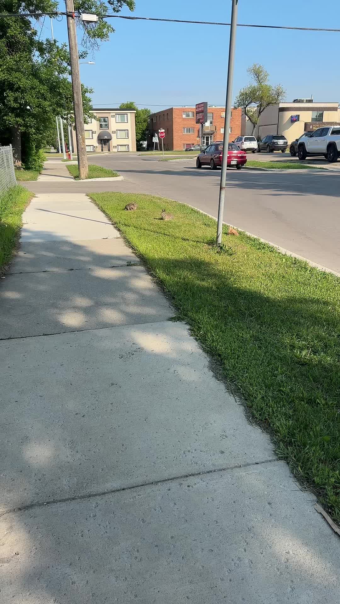 @𝓑𝓪𝓻𝓫𝓪𝓻𝓪_𝓣𝓐
