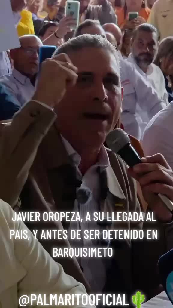 @PALMARITOOFICIAL 🌵