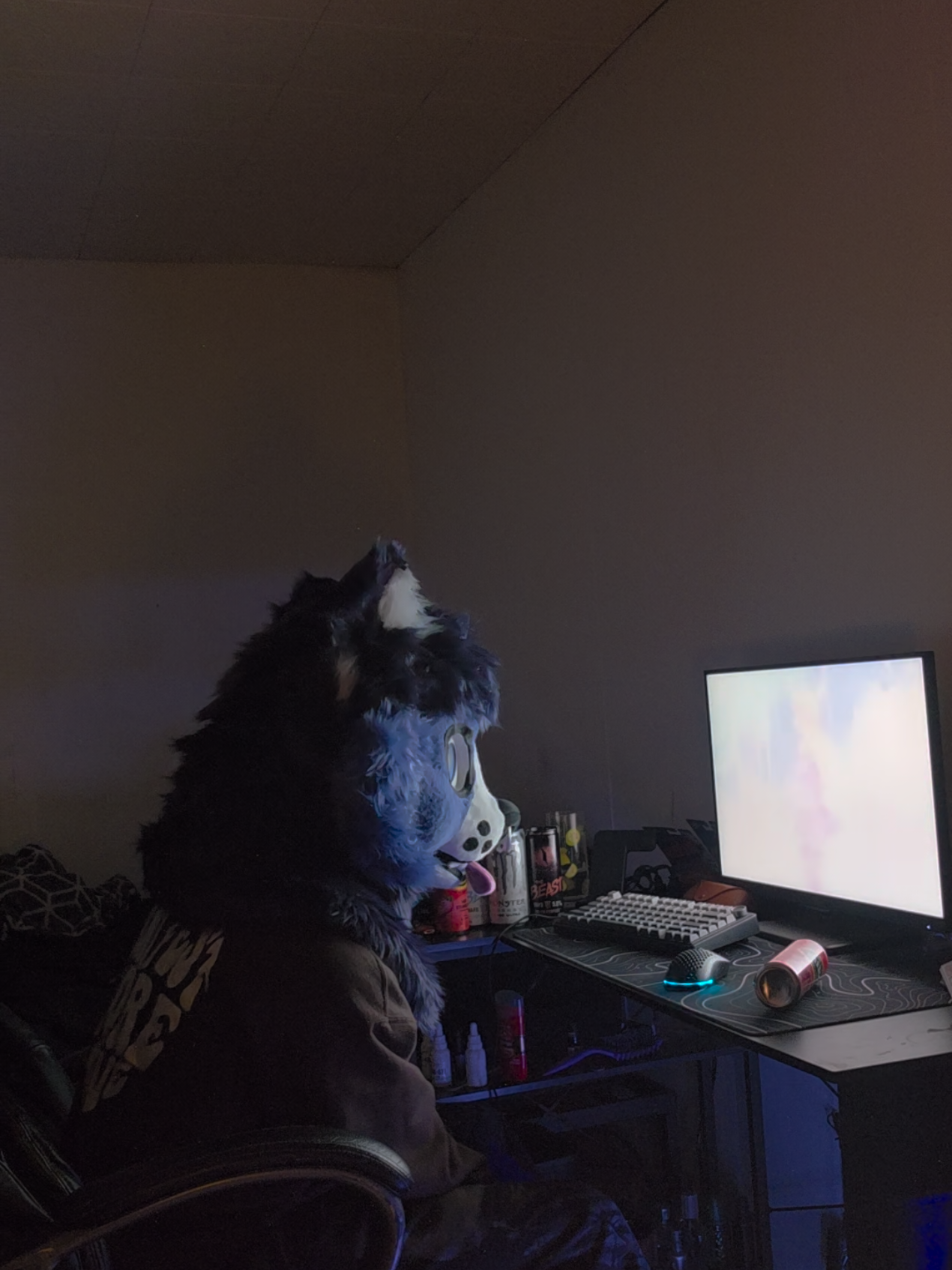 @🐾 Xeno 👾
