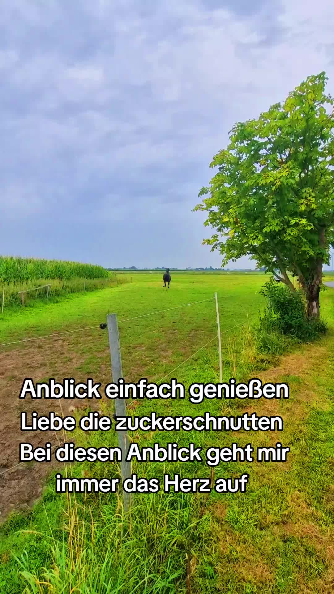 @Sandra Gehrls