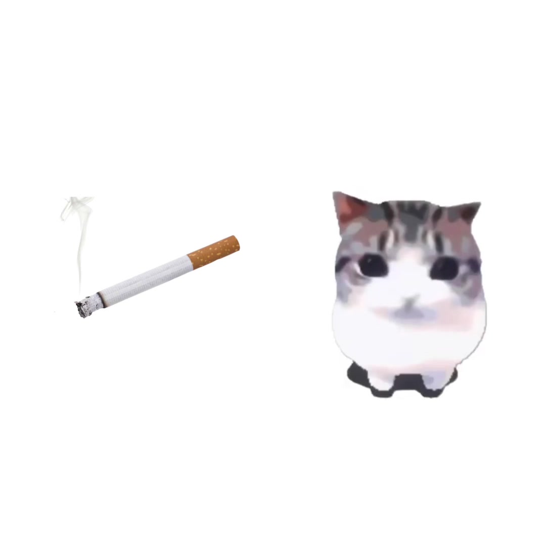 @Lilith(🍞eggnog_fan🥥)☆⋆。𖦹°‧★