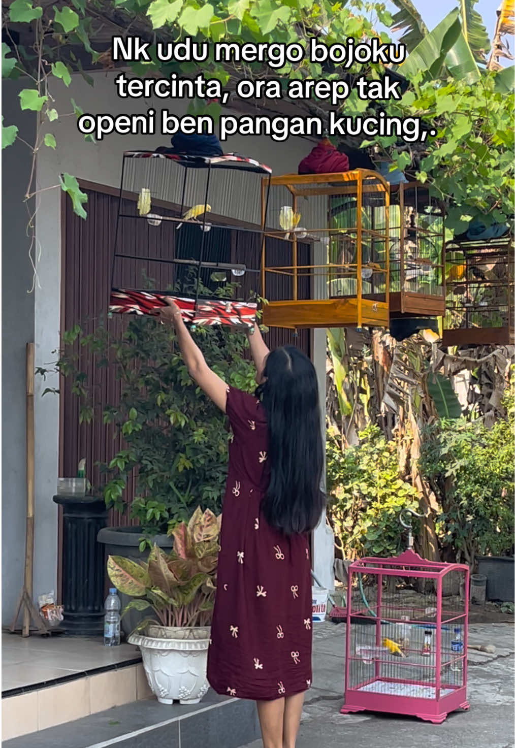 @denisyunikashop