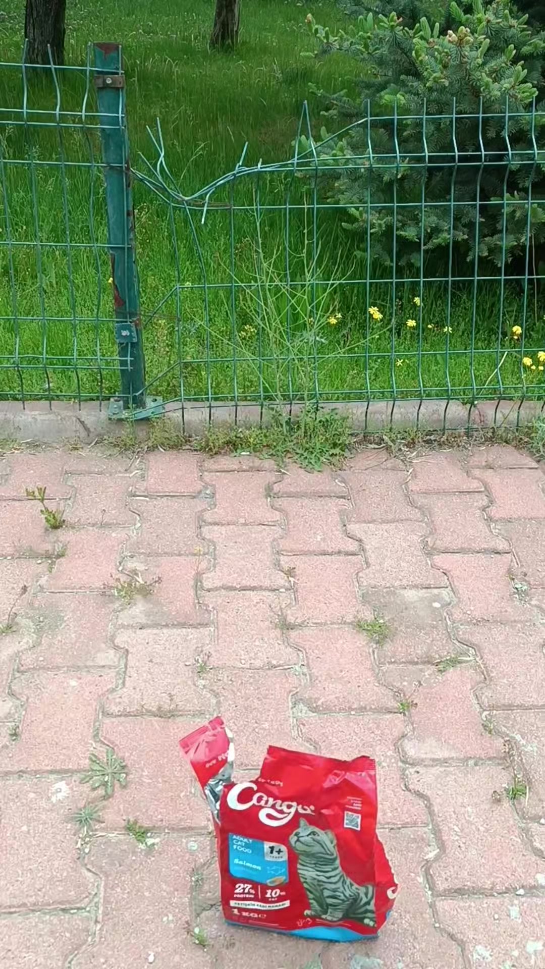 @Lila Yasemin