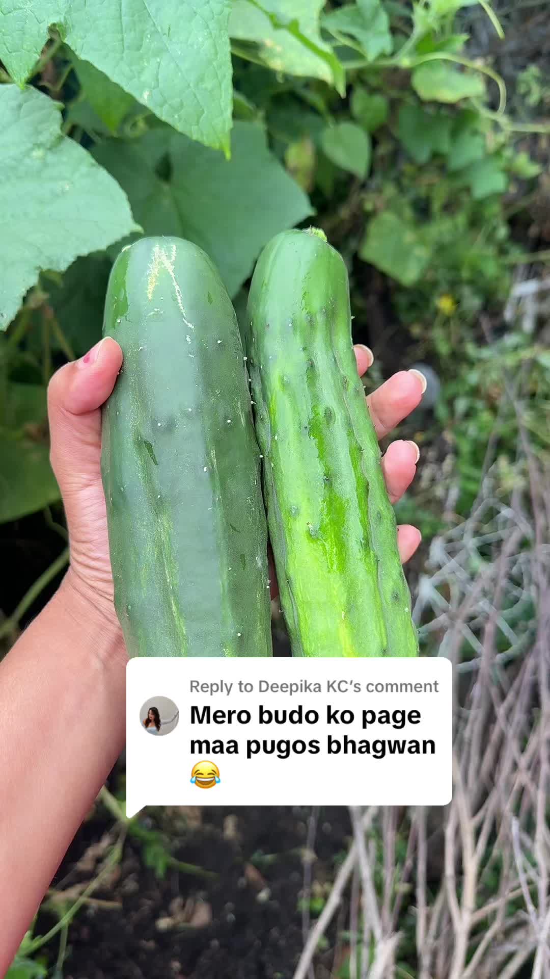 @singhsarus