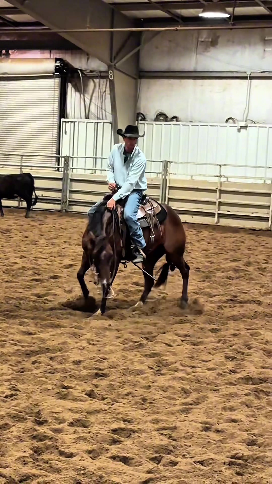 @rtabogacuttinghorses